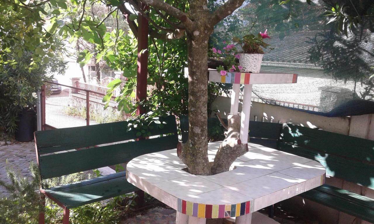 Eleni Apartament
